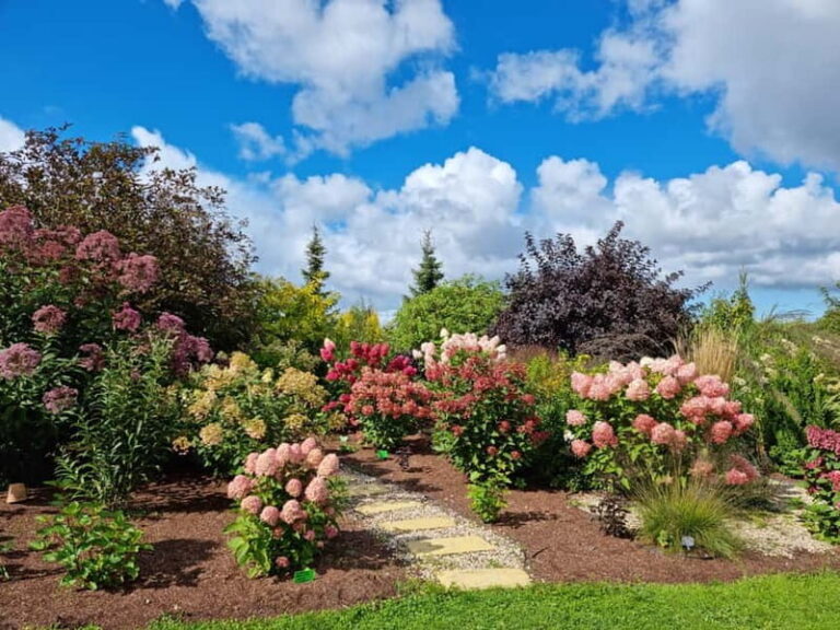 From Riga: Vidzeme Coast Half-Day Trip with Lunch - Practical Details and What to Expect