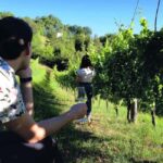 From Rome: Cantina Le Macchie Winery Tour and Tasting - Final Thoughts