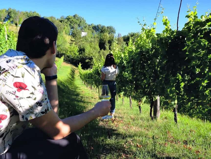 From Rome: Cantina Le Macchie Winery Tour and Tasting - Final Thoughts