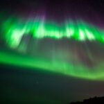 From Rovaniemi: Family-Friendly Northern Lights Tour - Who Is This Tour Best For?