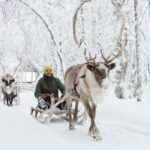 From Rovaniemi: Husky and Reindeer farm with sled ride - The Authentic Touch: What Travelers Are Saying