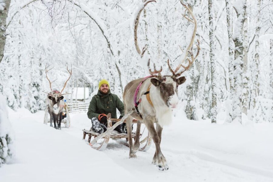 From Rovaniemi: Husky and Reindeer farm with sled ride - The Authentic Touch: What Travelers Are Saying