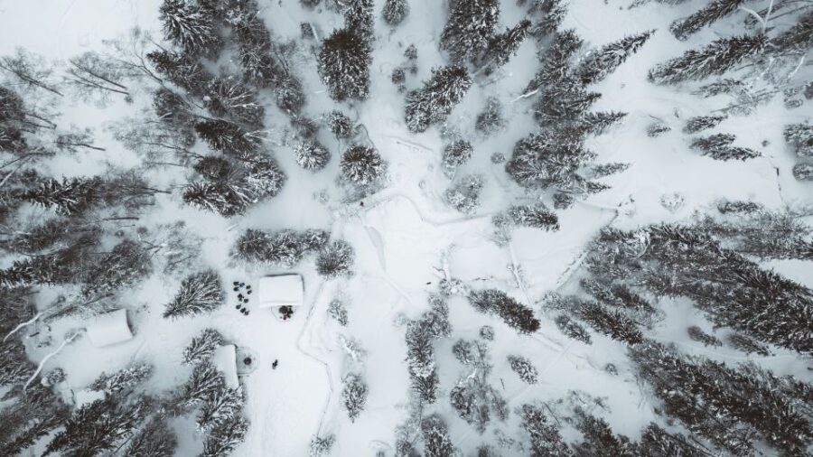 From Rovaniemi: Korouoma Canyon and Frozen Waterfalls Tour - Who Would Love This Tour?