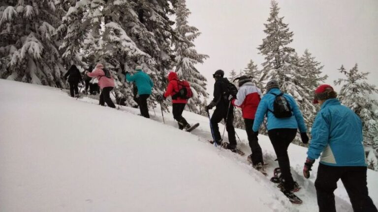 From Rovaniemi: Korouoma Frozen Waterfalls Small-Group Hike - Practical Details and What to Expect