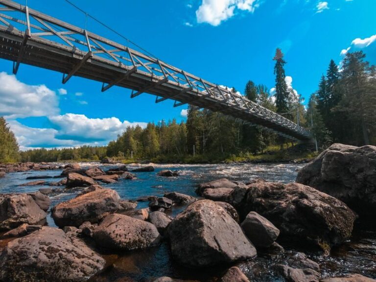 From Rovaniemi: Vikaköngäs Forest Hiking Tour - Who Will Love This Tour?