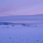 From Rovaniemi: Winter Wonderland Hike with a Hot Drink - An Authentic Winter Adventure in Finnish Lapland