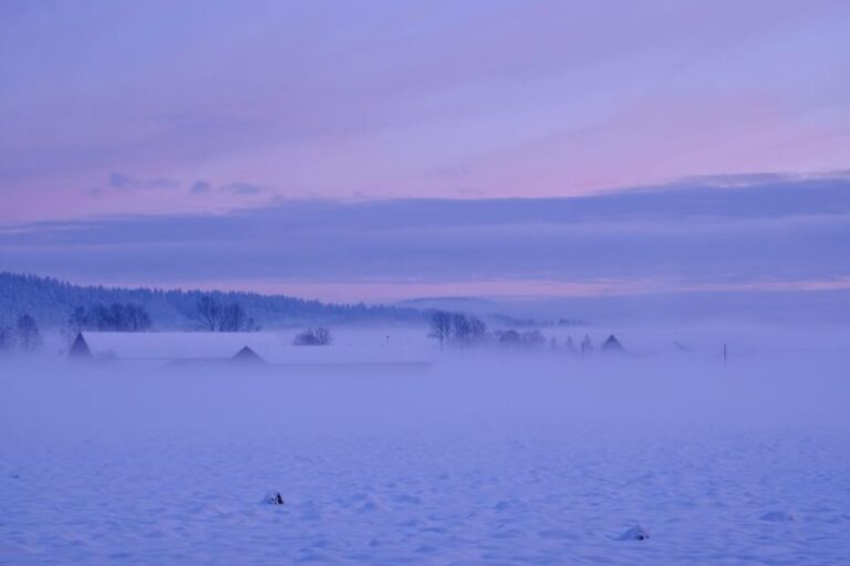 From Rovaniemi: Winter Wonderland Hike with a Hot Drink - An Authentic Winter Adventure in Finnish Lapland