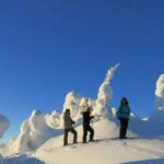 From Ruka: Snowshoeing in Riisitunturi National park - The Itinerary in Detail