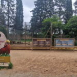 From Salou: Park Samá with 1 vermouth tasting, hotel Pickup - What Makes This Tour Stand Out