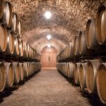 From Salou: Priorat olive trees and wine tour - Practicalities and Value