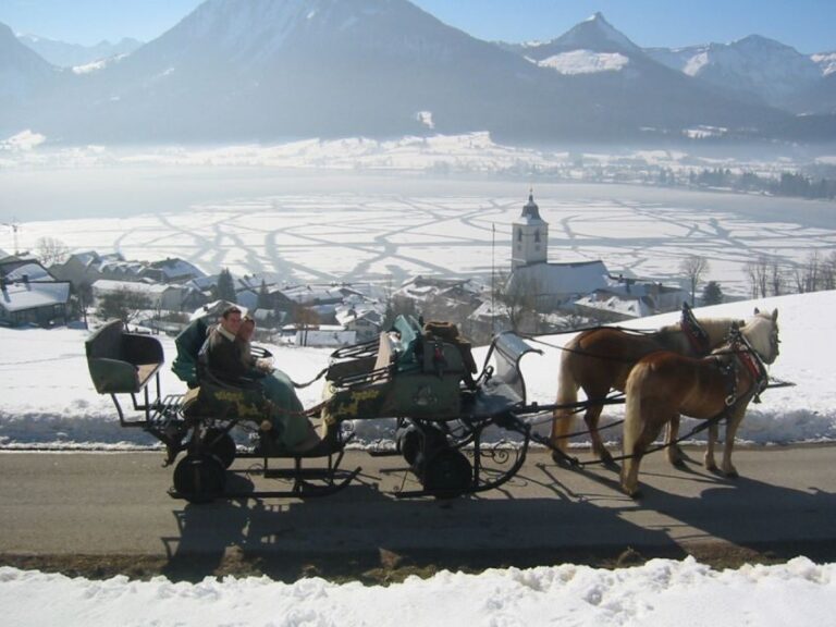 From Salzburg: Romantic Sleigh Ride through the Countryside - Final Thoughts