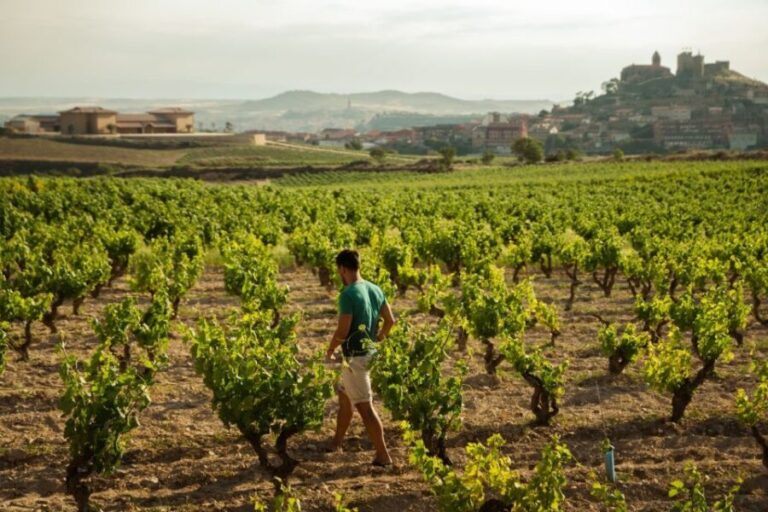 From San Sebastián: La Rioja Wine Region Day Tour - Practical Details and Value