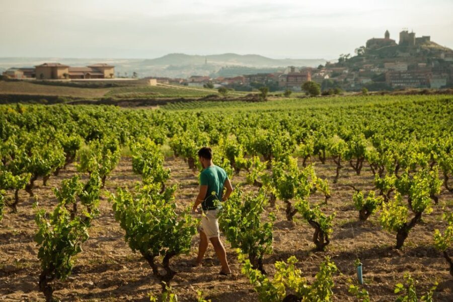 From San Sebastián: La Rioja Wine Region Day Tour - Practical Details and Value