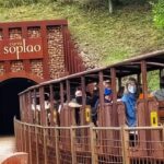 From Santander or Torrelavega: Soplao Cave Excursion - Who Will Love This Tour?