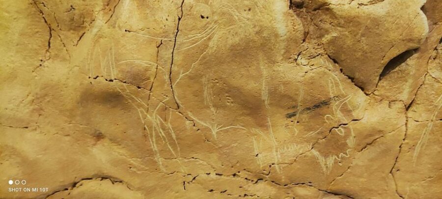 From Santander: Santillana del Mar & Altamira Museum Tour - Santillana del Mar: A Medieval Dream