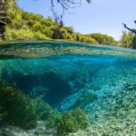 From Sarandë: The Blue Eye and Lekuresi Castle - Practical Details and What to Expect