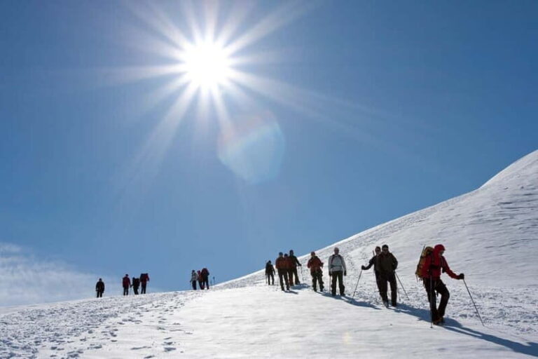 From Seljavallalaug: Eyjafjallajökull Volcano Summit Hike - Who Should Consider This Tour?
