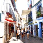 From Seville: Cordoba and its Mosque Guided Day Trip - Summary: Who Should Consider This Tour?