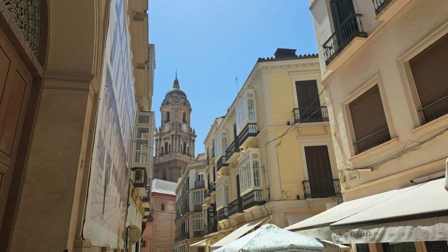 From Seville: Malaga Private Day Trip with Guide - The Value of This Private Day Trip