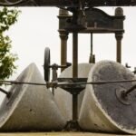 From Seville: Olive Oil Farm Tour - Is the Price Justified?