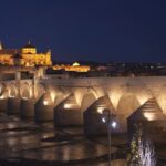 From Seville: Private or Group Full-Day Cordoba Tour - Who Will Love This Tour?