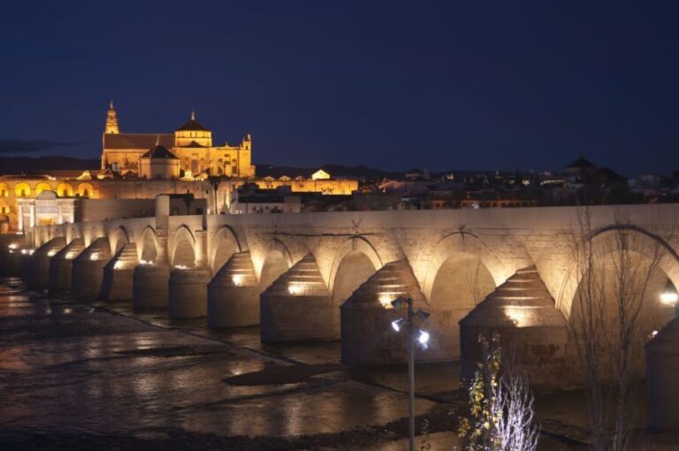 From Seville: Private or Group Full-Day Cordoba Tour - Who Will Love This Tour?