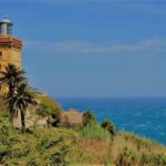 From Seville: Tangier Day Trip with Local Guide and Lunch - Arrival in Tangier: Orientation and First Impressions