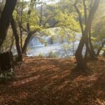 From Sibenik: Private Skradinski buk waterfall in Krka NP - An In-Depth Look at the Tour Experience