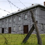 From Sofia: Day Tour to Nis, Serbia - The Guided Experience: A Personal Touch