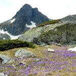 From Sofia: The Seven Rila Lakes Full-Day Self-Guided Tour - Approaching the Lakes: The Mountain Hut and the Cirque