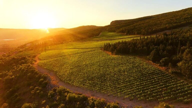 From Split: Blue and Red Lakes and Winery Grabovac Tour - The Sum Up