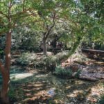 From Split: Krka Waterfalls Tour with Boat Cruise & Swimming - Final Thoughts