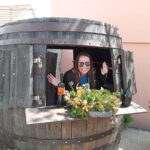 From Split: Krka Waterfalls with Wine & Cheese Tasting Tour - What’s Included and What to Bring