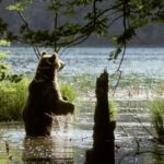 From Split or Trogir: Plitvice Lakes Private Tour - The Practicalities of the Tour