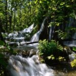 From Split or Trogir: Plitvice Lakes Trip with Entry Ticket - Authentic Insights from Reviewers