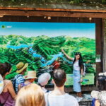 From Split: Plitvice Lakes Guided Tour with Entry Tickets - Why This Tour Is So Well-Loved