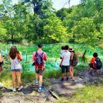 From Split: Plitvice Lakes Guided Tour with Entry Tickets - The Itinerary: What You Can Expect