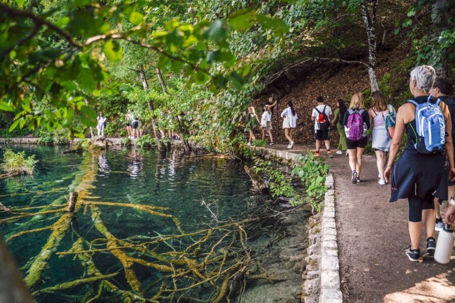 From Split: Plitvice Lakes National Park Guided Tour - The Journey to the Park: First Impressions of Croatian Nature