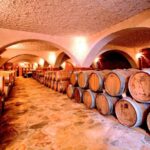 From Split & Trogir: Peljeac Peninsula Food & Wine Tour - Additional Practical Details