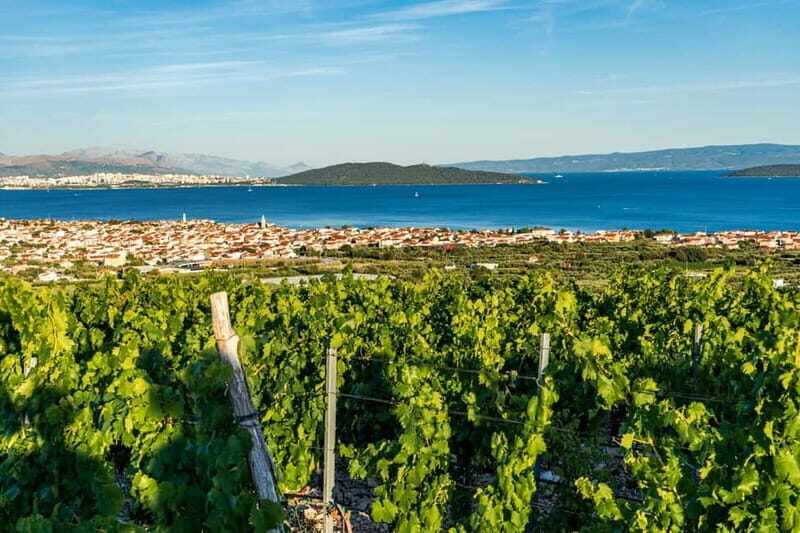 From Split: Vineyard Wine Tasting Experience with a Sea View - A Deep Dive into the Experience