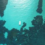 From Stintino: Half-day dinghy tour in Asinara Gulf - The Value of This Experience