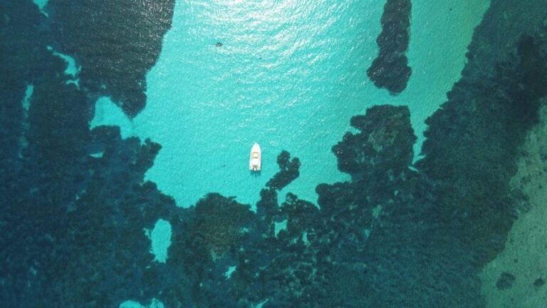 From Stintino: Half-day dinghy tour in Asinara Gulf - The Value of This Experience