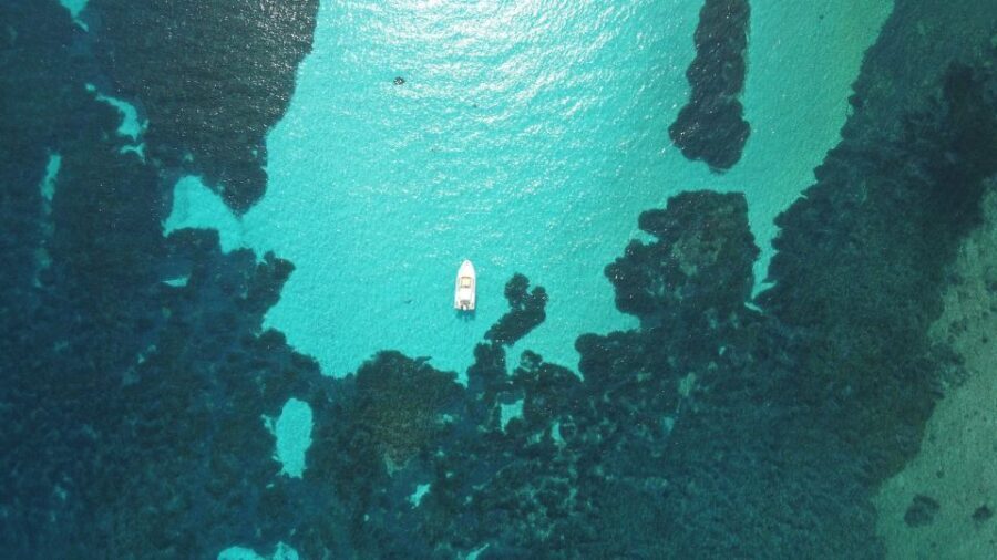 From Stintino: Half-day dinghy tour in Asinara Gulf - The Value of This Experience