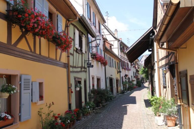 From Strasbourg: Half-Day Tour of Alsace Villages - What to Expect on the Tour
