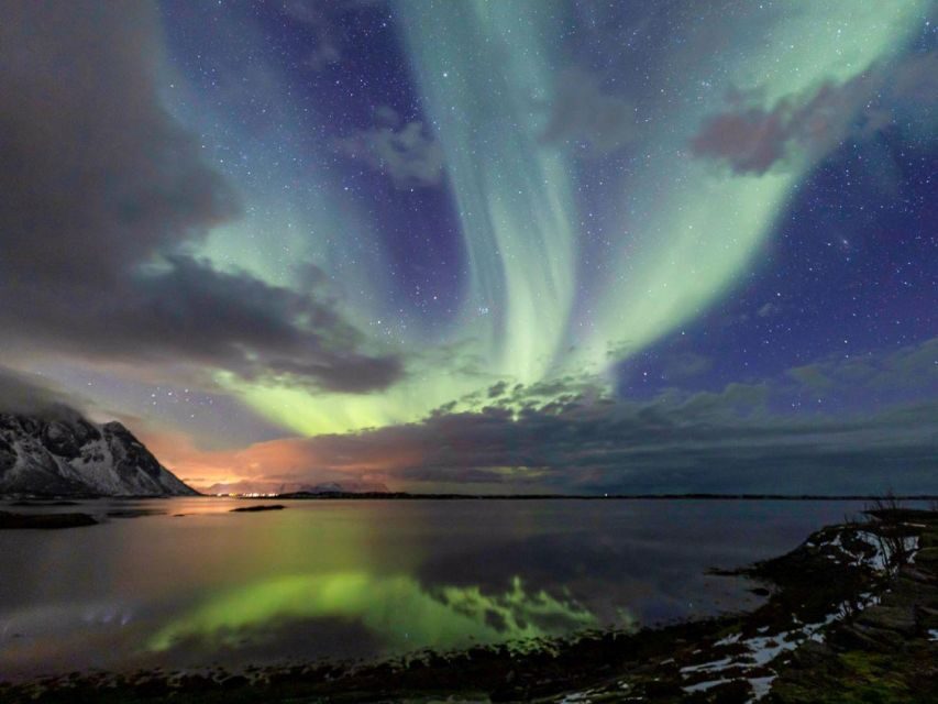 From Svolvær: Guided Northern Lights Tour by Van - Price and Value