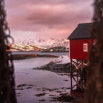 From Svolvær: Lofoten History and Sightseeing Tour - Practical Details and Value