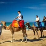 From Tangier: Cap Spartel and Hercules Cave with Camel Ride - The Practicalities: Transportation, Timing, and Cost