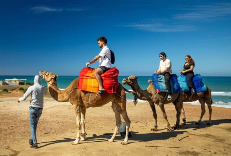 From Tangier: Cap Spartel and Hercules Cave with Camel Ride - The Practicalities: Transportation, Timing, and Cost