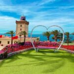 From Tarifa to Tanger: complete tour+ camel ride+ food - The Value of This Tour