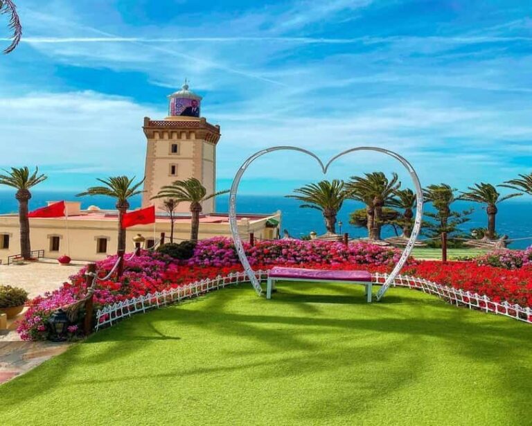 From Tarifa to Tanger: complete tour+ camel ride+ food - The Value of This Tour